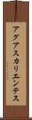 アグアスカリエンテス Scroll