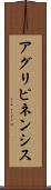 アグリピネンシス Scroll