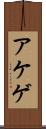 アケゲ Scroll