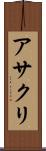 アサクリ Scroll