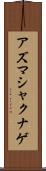 アズマシャクナゲ Scroll