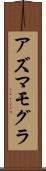 アズマモグラ Scroll