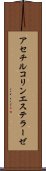 アセチルコリンエステラーゼ Scroll