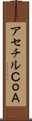 アセチルＣｏＡ Scroll