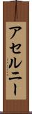 アセルニー Scroll