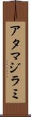 アタマジラミ Scroll