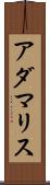 Adamaris Scroll