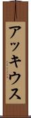 アッキウス Scroll