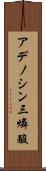 アデノシン三燐酸 Scroll