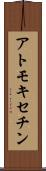 アトモキセチン Scroll