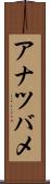アナツバメ Scroll