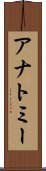 アナトミー Scroll