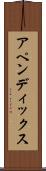 アペンディックス Scroll