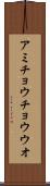 アミチョウチョウウオ Scroll