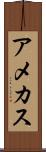アメカス Scroll