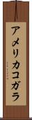 アメリカコガラ Scroll