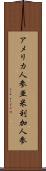 アメリカ人参 Scroll