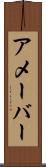 アメーバー Scroll