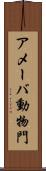 アメーバ動物門 Scroll