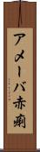 アメーバ赤痢 Scroll