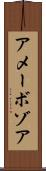 アメーボゾア Scroll