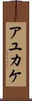 アユカケ Scroll