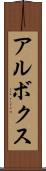アルボクス Scroll