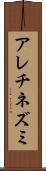 アレチネズミ Scroll
