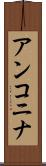 アンコニナ Scroll