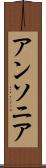 アンソニア Scroll