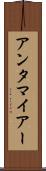アンタマイアー Scroll