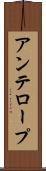 アンテロープ Scroll