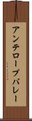 アンテロープバレー Scroll