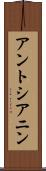 アントシアニン Scroll
