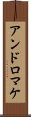 アンドロマケ Scroll