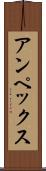 アンペックス Scroll