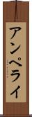 アンペライ Scroll