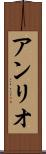アンリオ Scroll