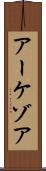 アーケゾア Scroll