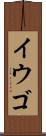 イウゴ Scroll