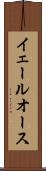 イェールオース Scroll