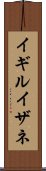 イギルイザネ Scroll