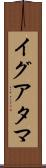 イグアタマ Scroll