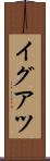 イグアツ Scroll