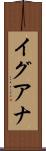 イグアナ Scroll