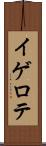 イゲロテ Scroll