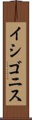 イシゴニス Scroll