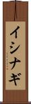 イシナギ Scroll