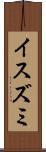 イスズミ Scroll