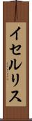 イセルリス Scroll